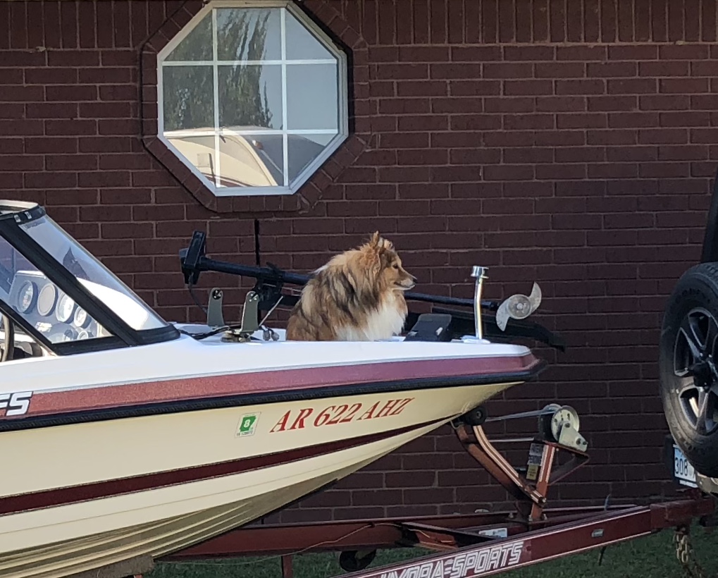 7B740B56-AF61-4EC9-BD9D-926AACE2CE56