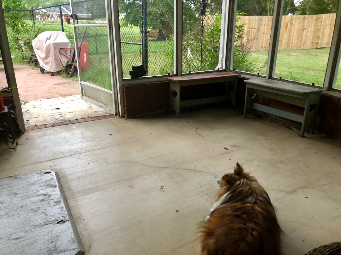 BAE6CBF9-B46B-4F6B-B57C-853D67DD755B