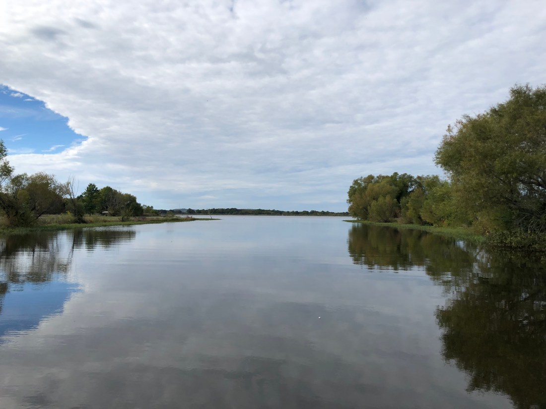 0E052A6B-1168-4F7A-9E5B-ED9E5D901E34